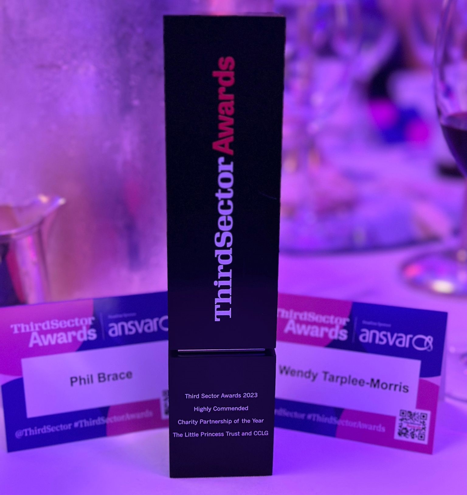 LPT honoured at Third Sector Awards