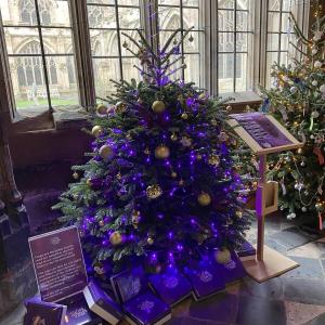 LPT are part of Worcester Cathedral Christmas Tree Festival 2021