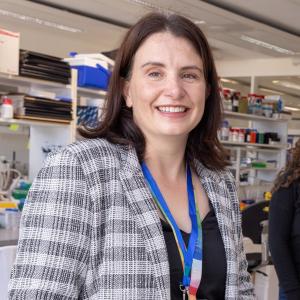 Three projects chosen for our New Ideas grants