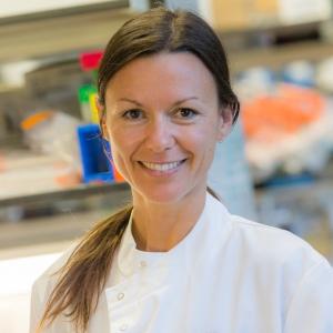 Funding research that 'few others will support'