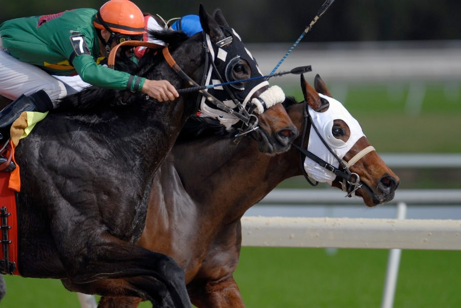   The Little Princess Trust's Hair and Hope Charity Race Day has been cancelled.  Photo: Unsplash/@grijef