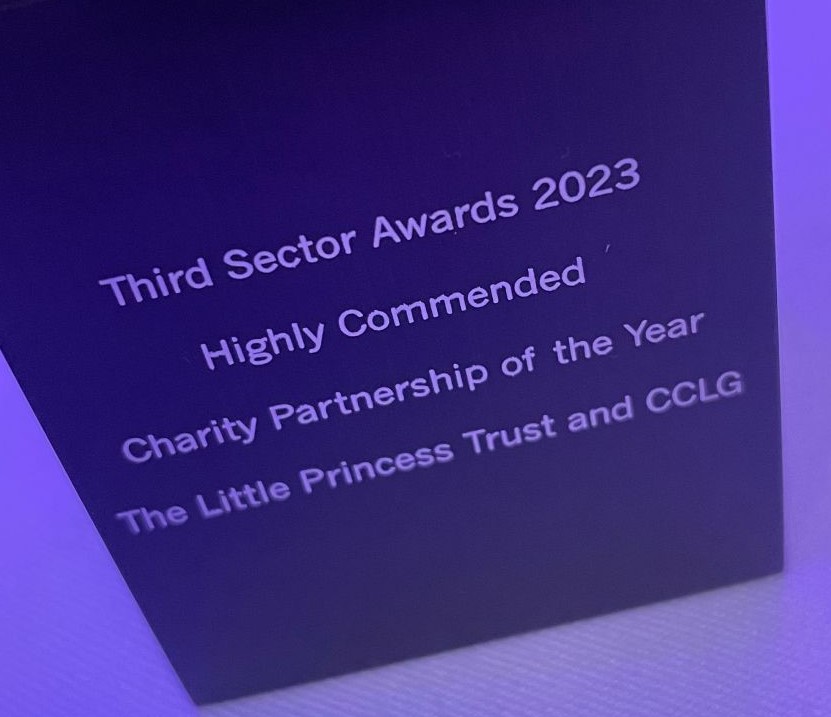 The Little Princess Trust was highly commended in the Charity Partnership of the Year category. 