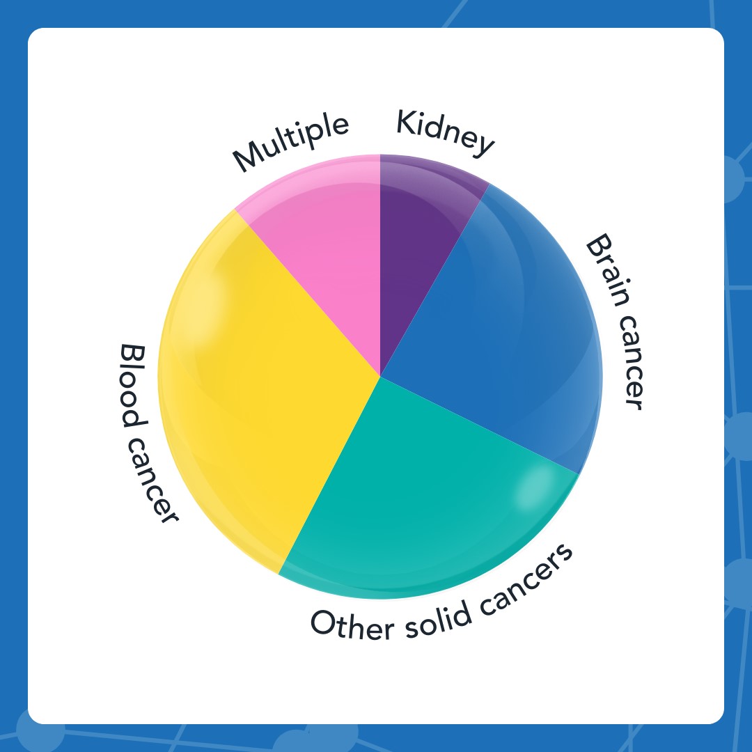 The Little Princess Trust funds research into all childhood cancer types.