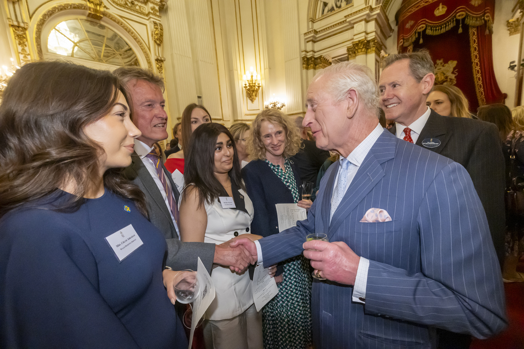 Tim Lowe, one of the co-founders of The Little Princess Trust, shakes hands with King Charles inside Buckingham Palace. Photo: Ian Jones Photography.