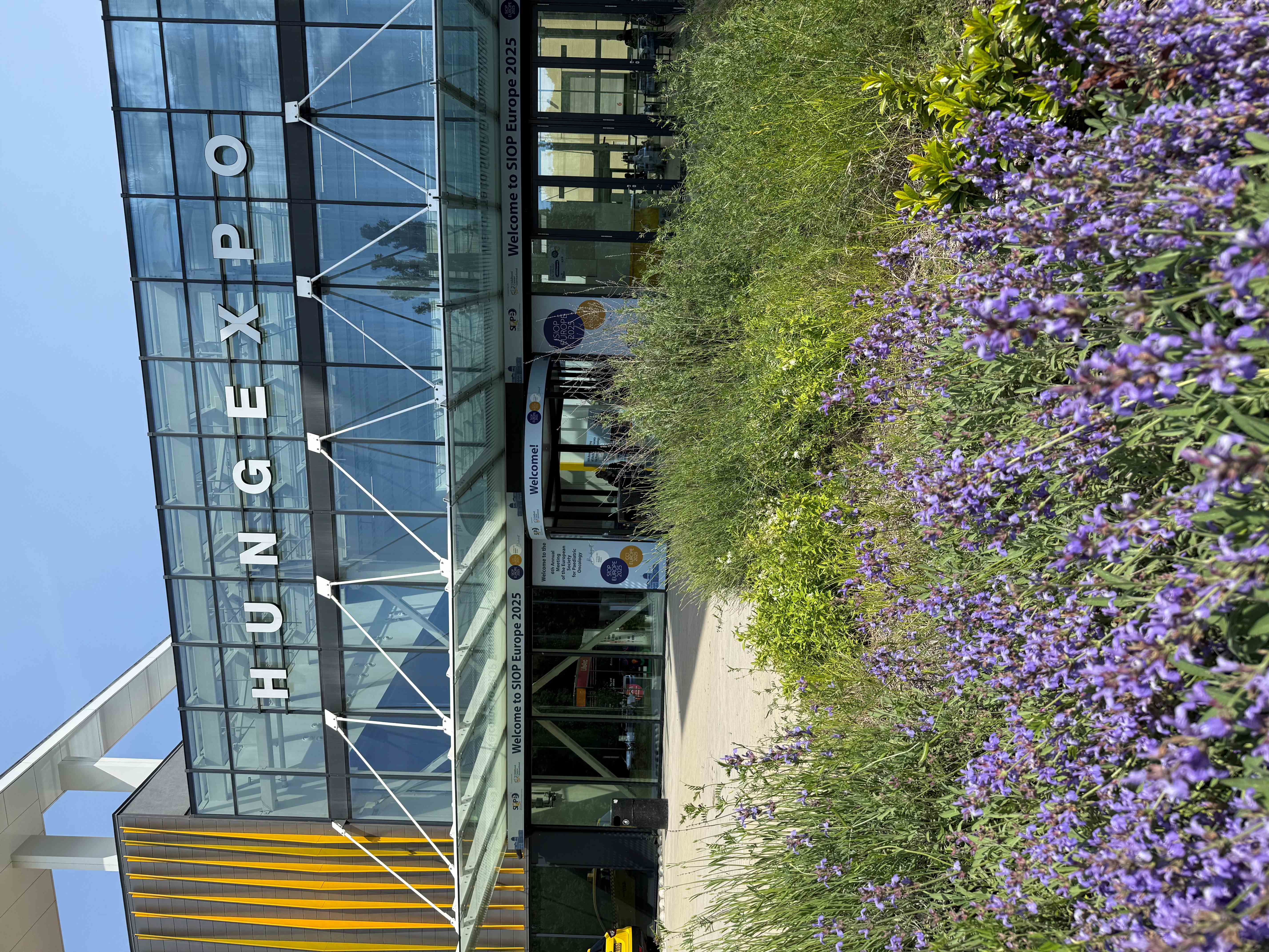 The sixth annual SIOP Europe took place in Hungary.